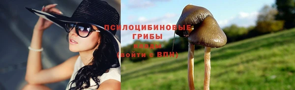 МДМА Вяземский