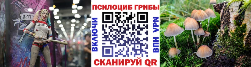 Псилоцибиновые грибы ЛСД  наркотики  Орехово-Зуево 